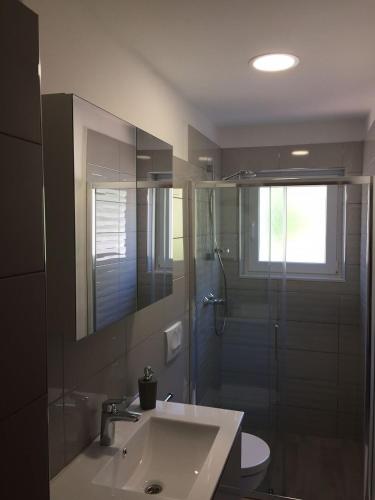 a bathroom with a sink and a glass shower at Apartments Durda in Sali