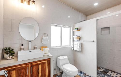 Quebrada GanadoにあるCasa amor del sol apartment # 2のトイレ、洗面台、鏡のあるバスルーム