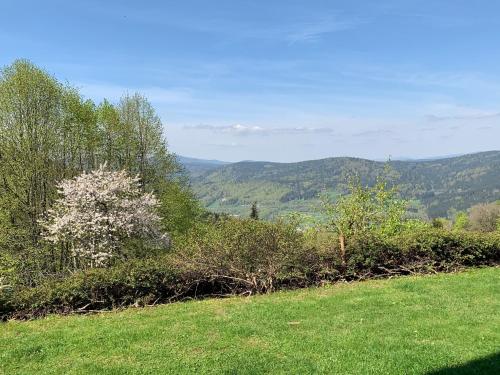 Foto dalla galleria di Ferienland Sonnenwald Fewo 3 a Schöfweg