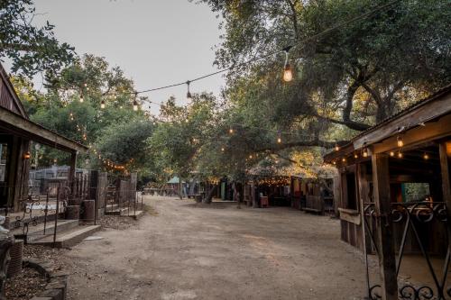 an empty street with lights hanging from trees at Historic Farmhouse on 5 Peaceful Acres with Ancient Oaks & Creek above Temecula in Temecula