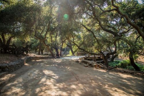 a tree lined road in a park with a tree canopy at Historic Farmhouse on 5 Peaceful Acres with Ancient Oaks & Creek above Temecula in Temecula
