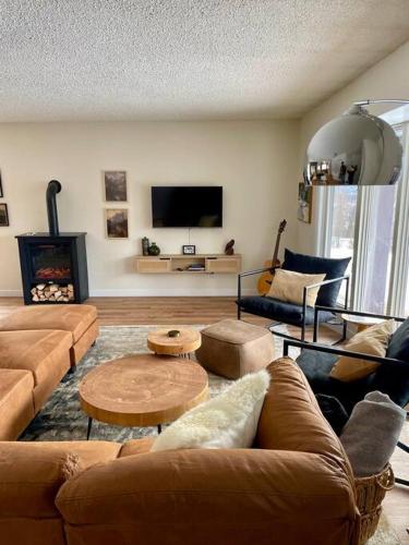 a living room with couches and a table and a television at Nell's Mountain Lodge - Arcade Hottub Fire Pit 5 Acres in Golden