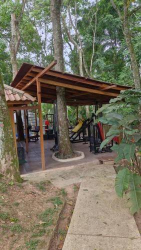 a pavilion with a wooden roof around a tree at Cabana Spa São Roque in São Roque