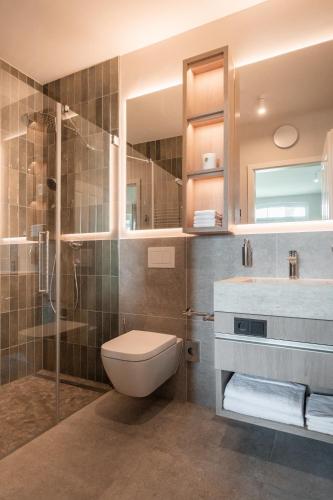a bathroom with a toilet and a sink and a shower at Alte Schule Westerhever Tholendorf in Westerhever