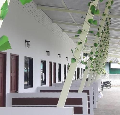 a building with a plant hanging from the ceiling at Tamruethai House - ตามฤทัยเฮาส์ in Chiang Mai