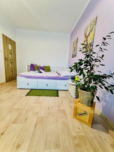 a room with a bed and a potted plant at Garsonka ve Dvoře in Dvůr Králové nad Labem