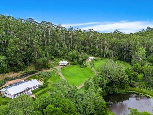 an aerial view of a house in the woods next to a river at Nightcap Ridge - Byron Bay Hinterland in Dorroughby