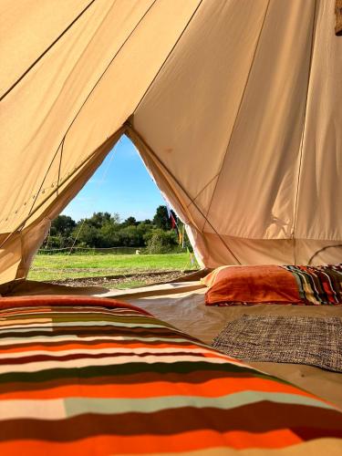 a close up of a tent with a view at Lakeside Glamping Firecrest in Saint Columb Major