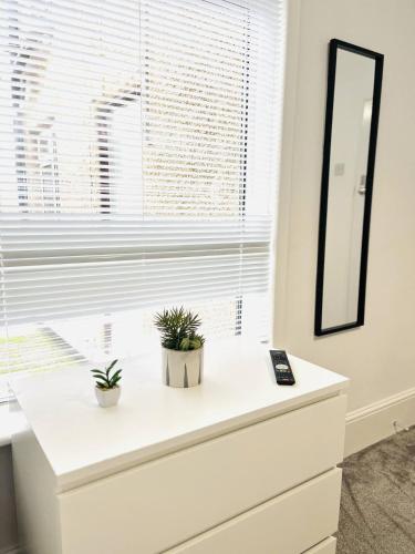 a window with two potted plants on a white counter at Orchard Road in Portsmouth