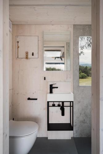 a bathroom with a sink and a toilet and a mirror at Slovácký dvůr s.r.o. in Ostrožská Nová Ves