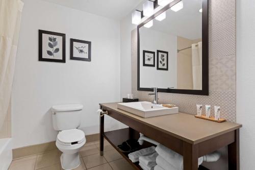 a bathroom with a sink and a toilet and a mirror at Country Inn & Suites by Radisson, Macon North, GA in Macon