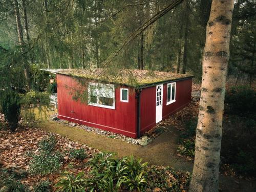 a red cabin in the woods with a tree at Natuurhuisje het Jagertje in Emst