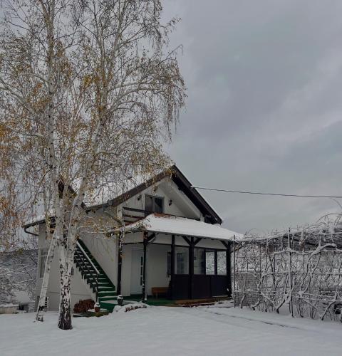 a house with a tree in the snow at Villa Buena in Despotovac