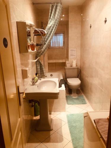 a bathroom with a sink and a toilet at Wohnung 40 Quadratmeter in Arnstein