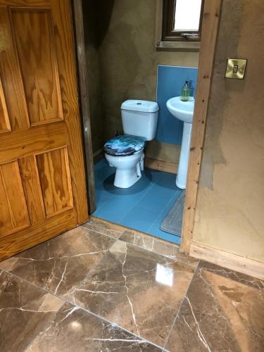 a bathroom with a toilet and a sink at Dads cabin in Cooleen