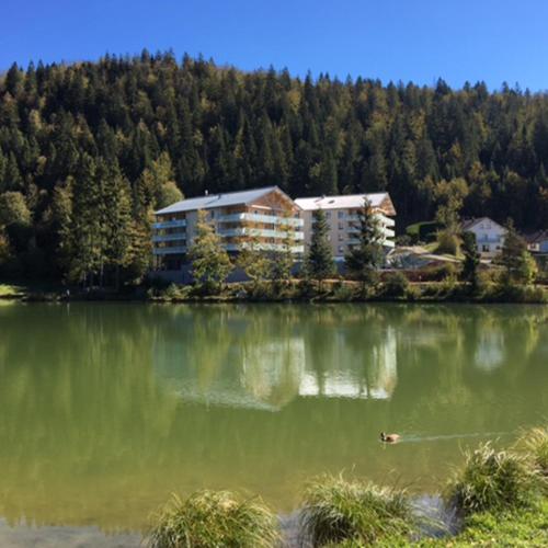 un lac avec un bâtiment au milieu dans l'établissement Ana et guigui, à Morbier