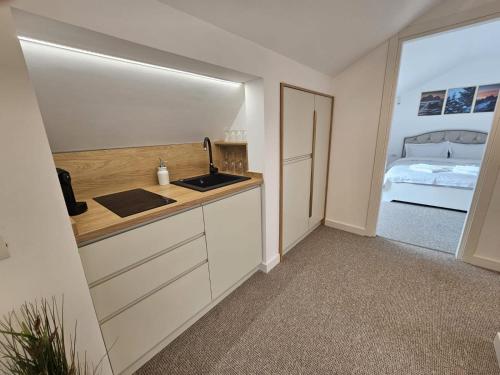 Kuchyň nebo kuchyňský kout v ubytování Camere de Inchiriat IGLOO