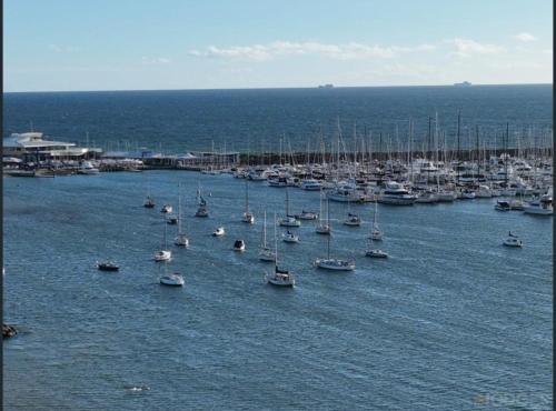 a large group of boats in the water at Beach Road Hampton Holidays in Melbourne