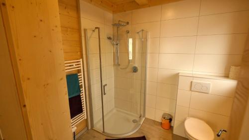 a bathroom with a shower and a toilet at Ferienwohnung Zillertal - Schwemberger in Fügen
