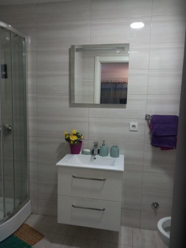 Koupelna v ubytování Apartman Savić