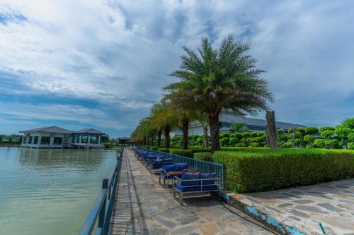 a row of chairs and palm trees next to the water at Lumbini Palace Resort in Lumbini
