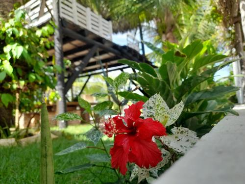 Κήπος έξω από το Vila Branca Canoa