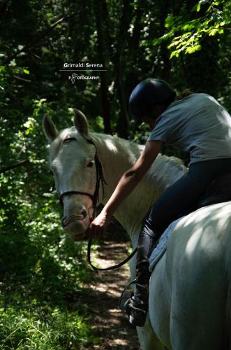 a person riding a horse on a trail at Agriturismo Buonasera in Bagnoregio