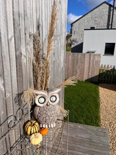 an owl sitting on the side of a fence with pumpkins at La Bricole in Dinant