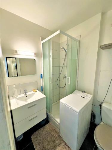 a bathroom with a shower and a sink and a toilet at Studio Confortable Proche Gare in Melun