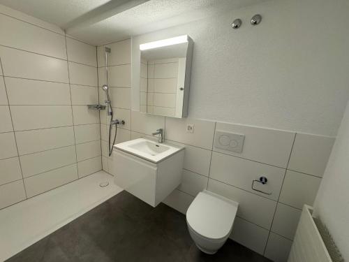 a bathroom with a toilet and a sink and a mirror at Homebase by Revier in Saas-Fee