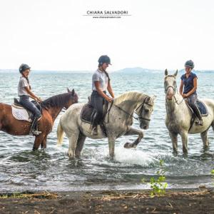 three people are riding horses in the water at Agriturismo Buonasera in Bagnoregio