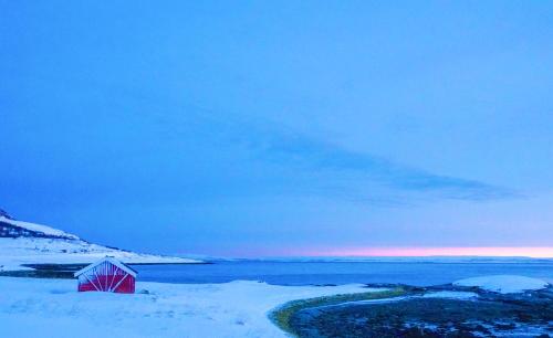 a red barn in the snow next to a body of water at Rivdnji Holiday Home Smørfjord in Russenes