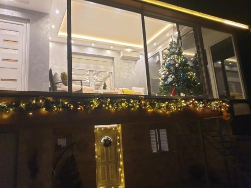 a living room with a christmas tree in the window at Apartman Cookie Kolačić blizu aerodroma Nikola Tesla in Dobanovci