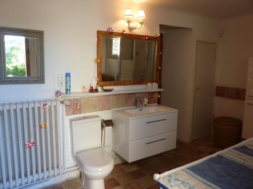 une salle de bain avec toilettes, lavabo et miroir dans l'établissement MAS PROVENCAL DU 18ème proche UZES, à Belvézet