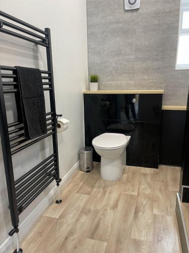 a bathroom with a white toilet and a mirror at The Studio Apartment, Sleeps 4, Town Centre in Brampton