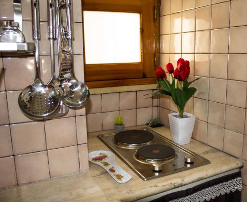 a kitchen counter with a stove with red flowers in a vase at Corallia Apartment in Siracusa