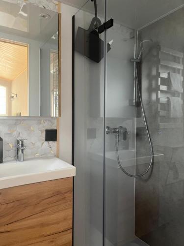 a bathroom with a shower and a sink at Meinsbur Boutique Hotel in Bendestorf