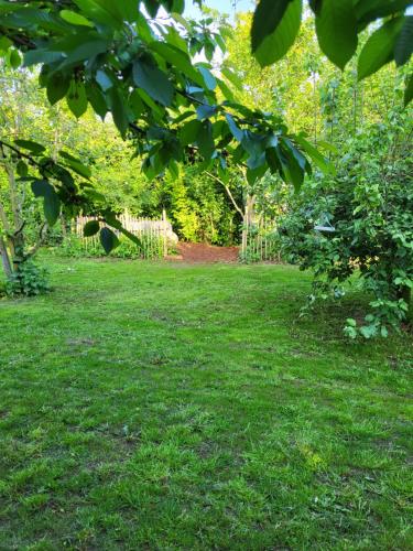 a garden with a yard with green grass and trees at B&B Atuatuca in Tongeren