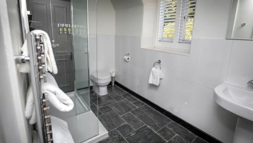 a white bathroom with a toilet and a sink at Château Rhianfa in Menai Bridge