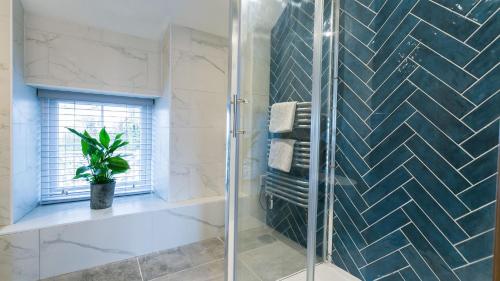 a bathroom with a shower and a potted plant at Gelli Deg in Menai Bridge