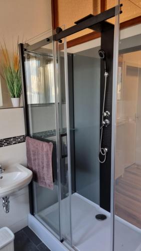 a shower with a glass door in a bathroom at Monteurwohnung 3 Bitterfeld in Bitterfeld