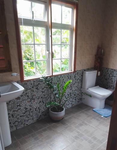 a bathroom with a toilet and a sink and a plant at Chez Mireille in Tambe