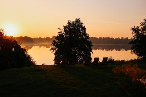 a sunset over a lake with a tree and chairs at Warmiński Sad in Olsztyn