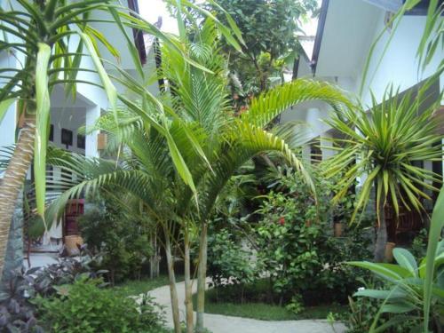 a group of palm trees in a building at Ricel homestay in Gili Trawangan