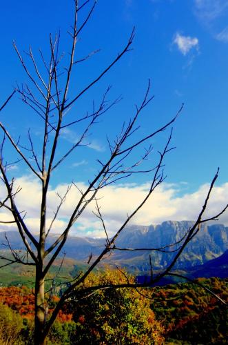 a tree in the foreground with mountains in the background at Artsistas Houses in Aristi
