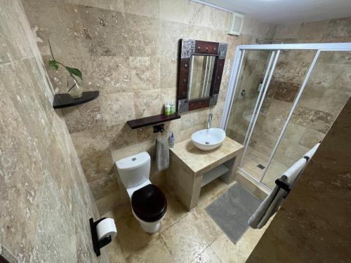 a bathroom with a toilet and a sink and a shower at Bird's View Guest Accommodation in Hermanus