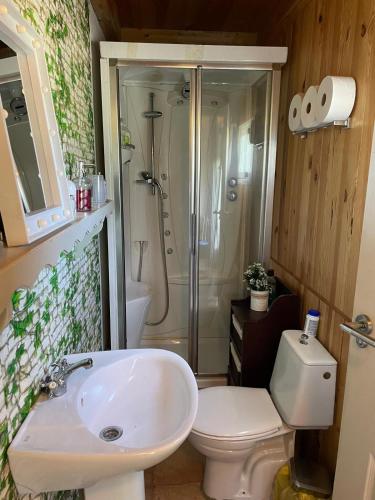 a bathroom with a sink and a toilet and a shower at Cortijo Luz de la Sierra in Dúdar