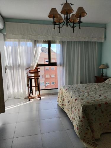 Rooms in Apartment