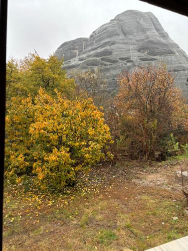 a mountain in the distance with a bush and trees at Paradise of Meteora B in Kastrákion