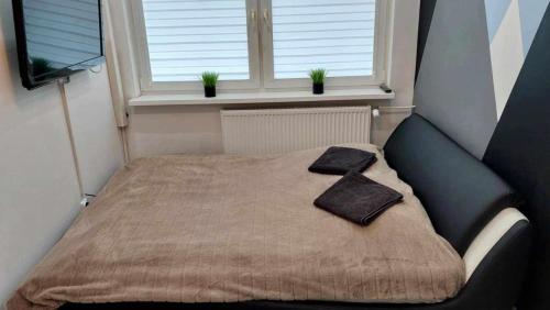 a bed in a small room with a window at Ekskluzywny Apartament w Centrum z Klimatyzacją i Balkonem in Lubin